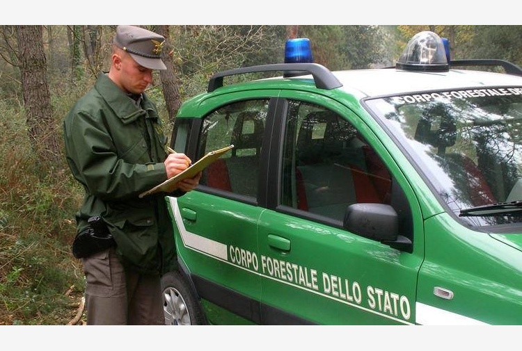 Concorso Corpo Forestale Sicilia: 800 assunzioni di Agenti