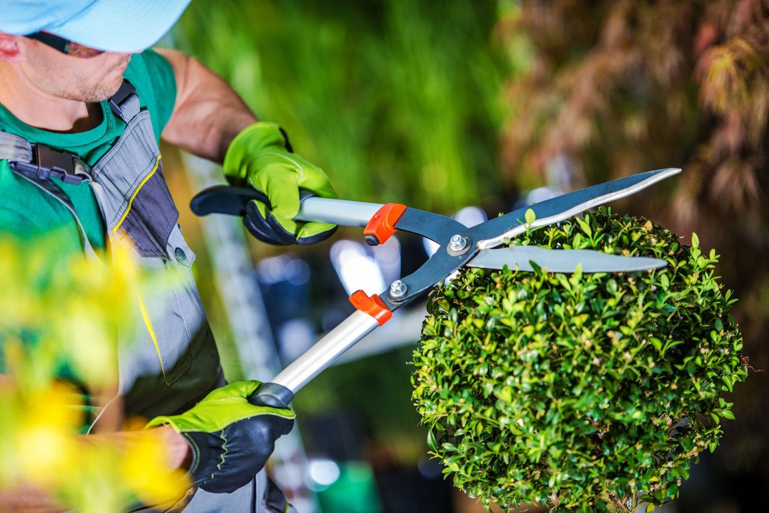 Concorsi Pubblici 2025 - Concorsi pubblici per diplomati, offerte di lavoro