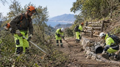 Operai idraulico forestali